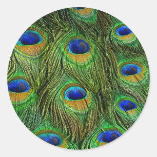 Mooie Peacock Feathers Ronde Sticker