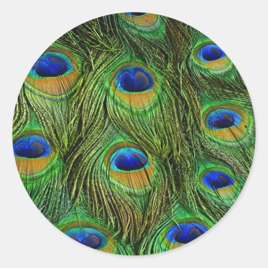 Mooie Peacock Feathers Ronde Sticker (Voorkant)