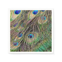 Mooie Peacock Feathers