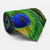 Mooie Peacock Feathers Stropdas (Opgerold)