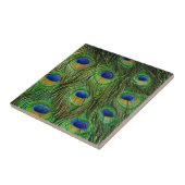 Mooie Peacock Feathers Tegeltje (Zijkant)