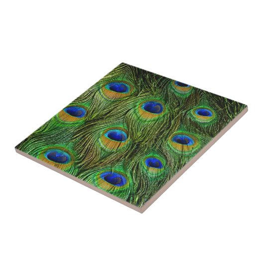 Mooie Peacock Feathers Tegeltje (Zijkant)