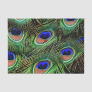 Mooie Peacock Feathers Tissuepapier