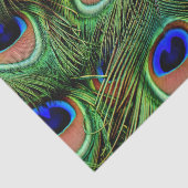 Mooie Peacock Feathers Tissuepapier (Detail)