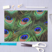 Mooie Peacock Feathers Tissuepapier (Craft)