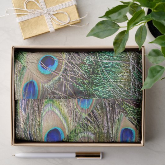 Mooie Peacock Feathers Tissuepapier (Geschenk)