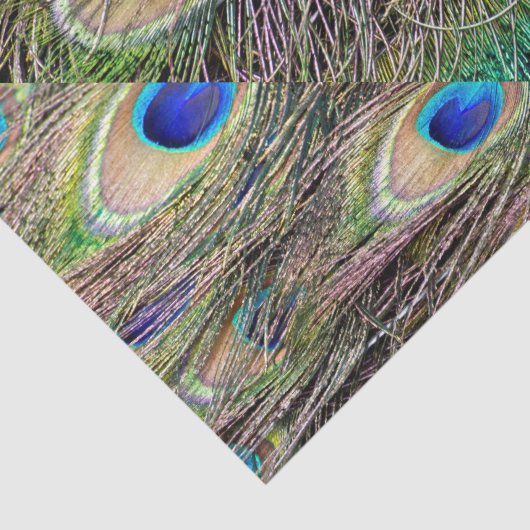 Mooie Peacock Feathers Tissuepapier (Detail)