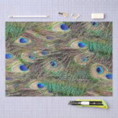 Mooie Peacock Feathers Tissuepapier (Craft)