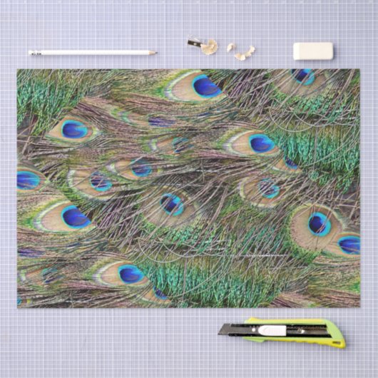 Mooie Peacock Feathers Tissuepapier (Craft)