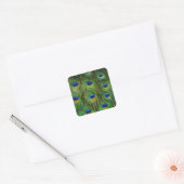 Mooie Peacock Feathers Vierkante Sticker (Envelop)