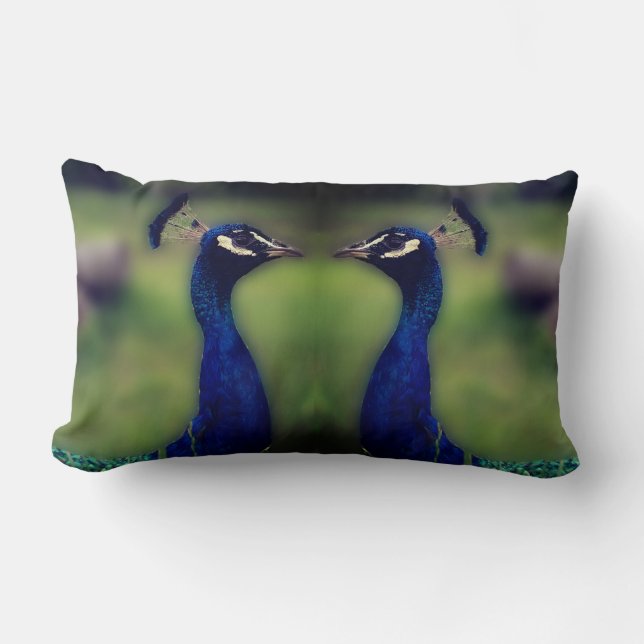Mooie Peacock foto lumbale kussen (Voorkant)
