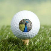 Mooie Peacock Golfballen (Insitu Shirt)