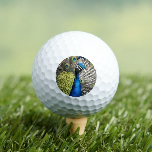 Mooie Peacock Golfballen (Insitu Shirt)