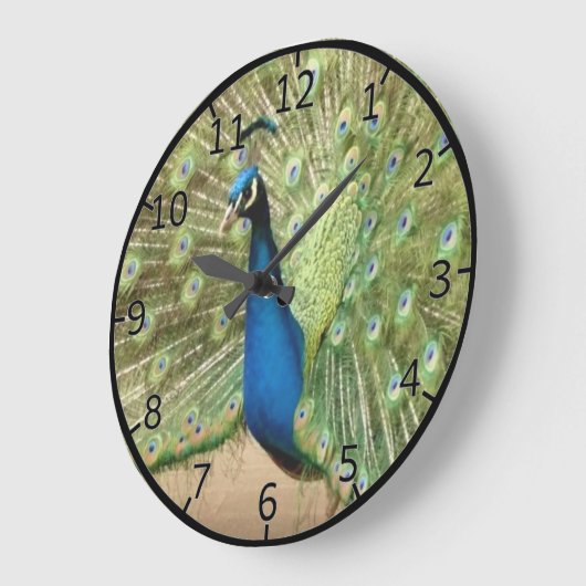 Mooie Peacock Grote Klok (Hoek)