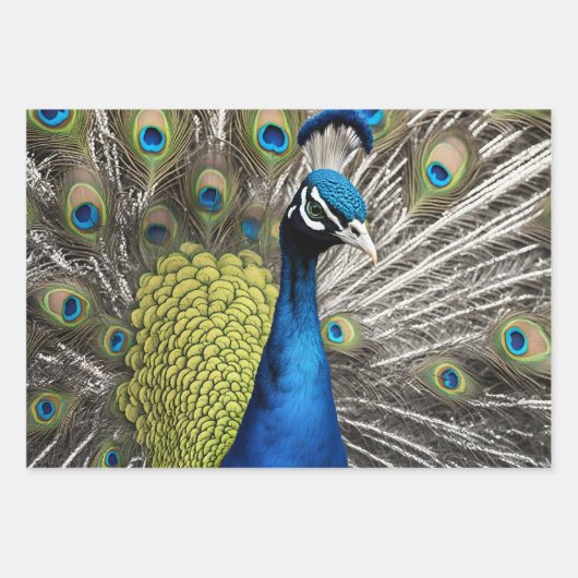 Mooie Peacock Inpakpapier Vel (Voorkant 2)