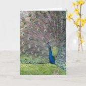 Mooie Peacock Kaart (Gele Bloem)