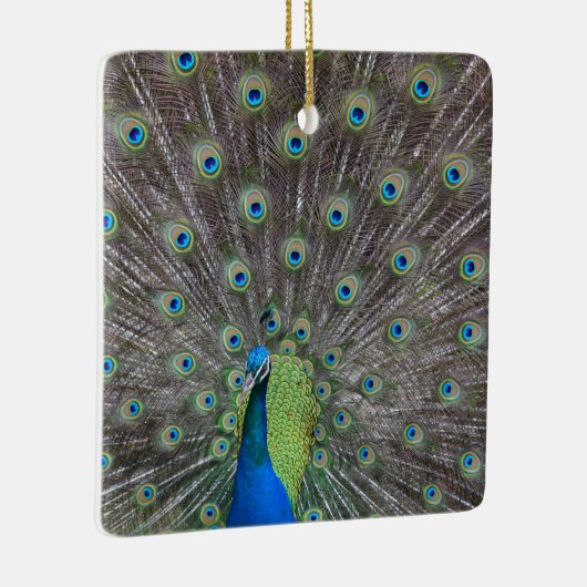 Mooie Peacock Keramisch Ornament (Rechts)