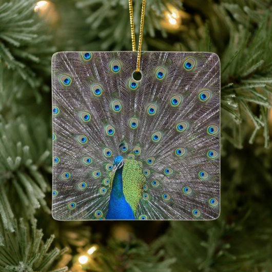 Mooie Peacock Keramisch Ornament (Boom)