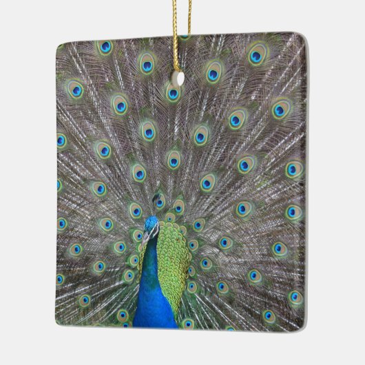 Mooie Peacock Keramisch Ornament (Links)