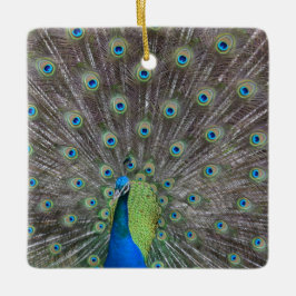 Mooie Peacock Keramisch Ornament