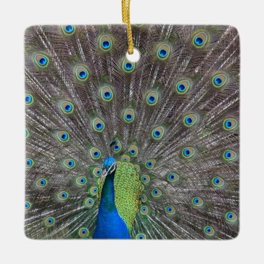 Mooie Peacock Keramisch Ornament (Voorkant)