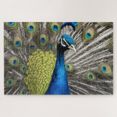 Mooie Peacock Legpuzzel (Horizontaal)