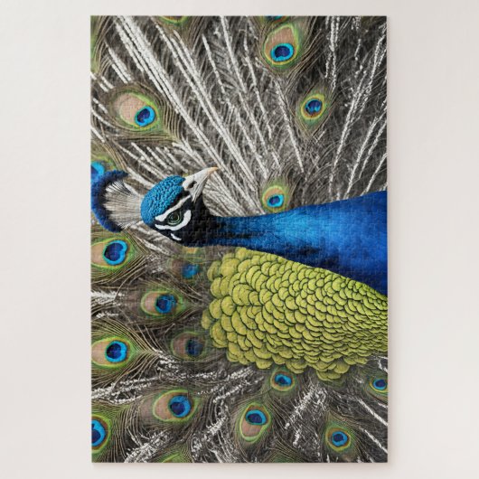 Mooie Peacock Legpuzzel (Verticaal)