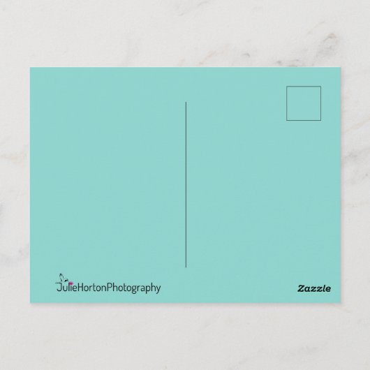 Mooie Peacock met zijn Tail Feathers Open Briefkaart (Achterkant)