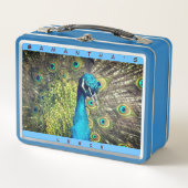 Mooie Peacock (persoonlijke naam) Metaal Lunch (Voorkant)