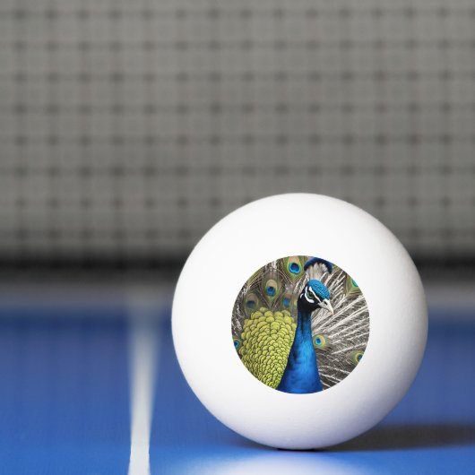 Mooie Peacock Pingpongbal (Net)