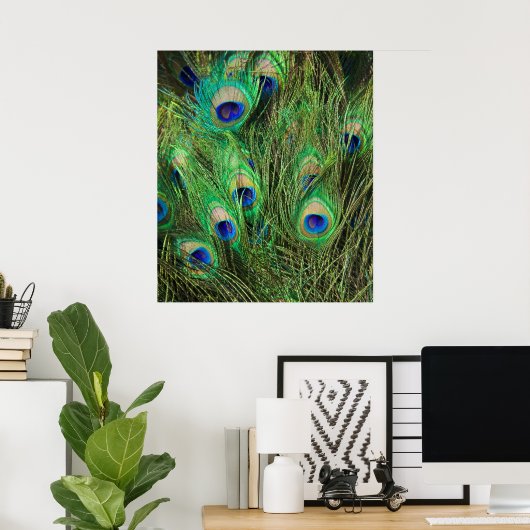 Mooie Peacock Poster (Thuiskantoor)