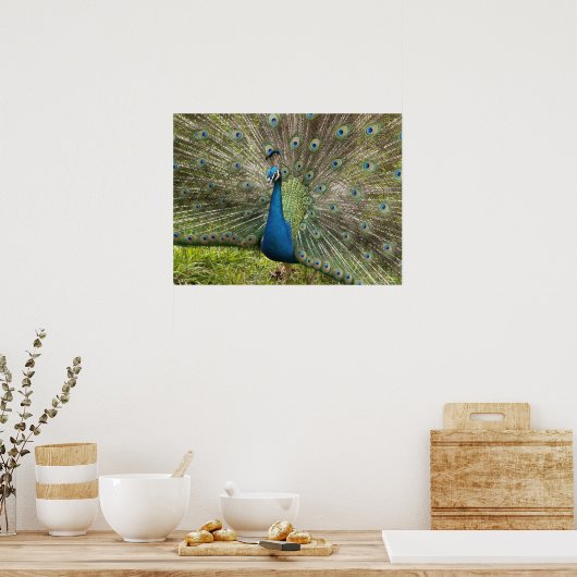 Mooie Peacock Poster (Keuken)