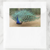 Mooie Peacock Rechthoekige Sticker (Tas)