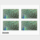 Mooie Peacock-stickers Rechthoekige Sticker (Vel)