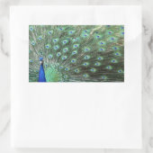 Mooie Peacock-stickers Rechthoekige Sticker (Tas)