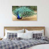 Mooie Peacock Stretched Canvas Print (Insitu (Slaapkamer))