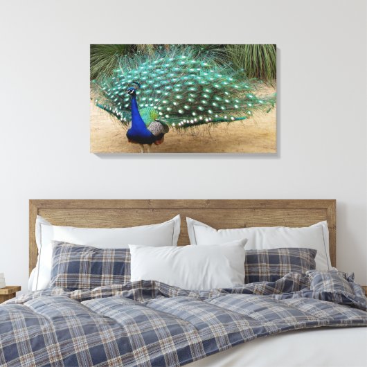 Mooie Peacock Stretched Canvas Print (Insitu (Slaapkamer))