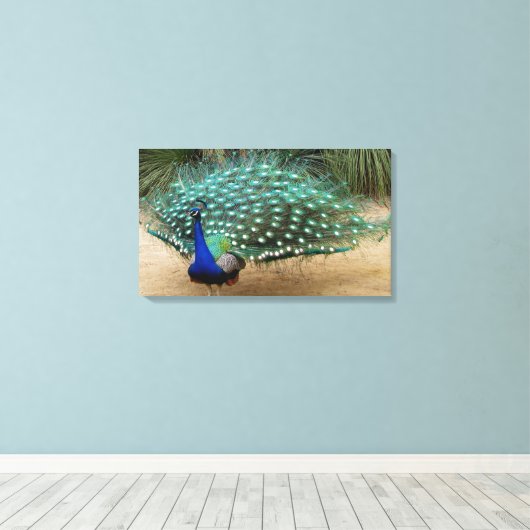 Mooie Peacock Stretched Canvas Print (Insitu (Houten vloer))