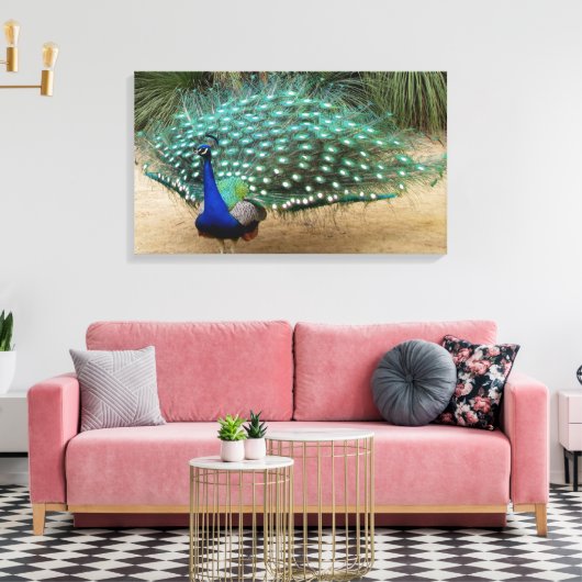 Mooie Peacock Stretched Canvas Print (Insitu (Woonkamer))