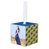 Mooie Peacock-veren en  foto's Decoratie (Voorkant hoekig)