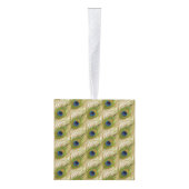 Mooie Peacock-veren en  foto's Decoratie (Rechts)