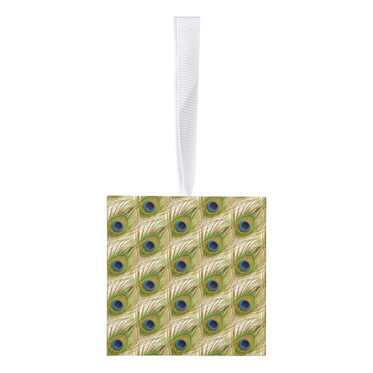 Mooie Peacock-veren en  foto's Decoratie (Rechts)