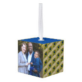 Mooie Peacock-veren en  foto's Decoratie (Achter hoekig)