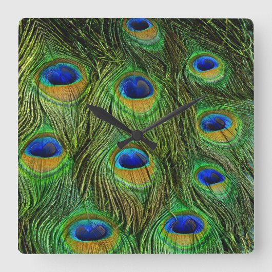 Mooie Peacock-veren Vierkante Klok (Voorkant)