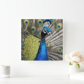 Mooie Peacock Vierkante Klok (Huis)