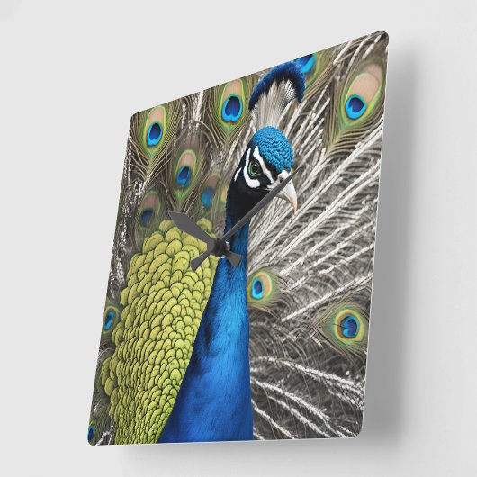 Mooie Peacock Vierkante Klok (Hoek)