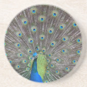 Mooie Peacock Zandsteen Onderzetter (Voorkant)