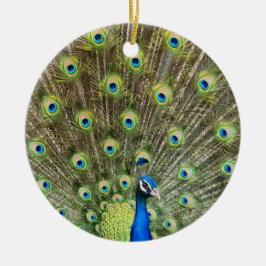 Mooie pekelvogel keramisch ornament