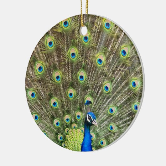 Mooie pekelvogel keramisch ornament (Links)