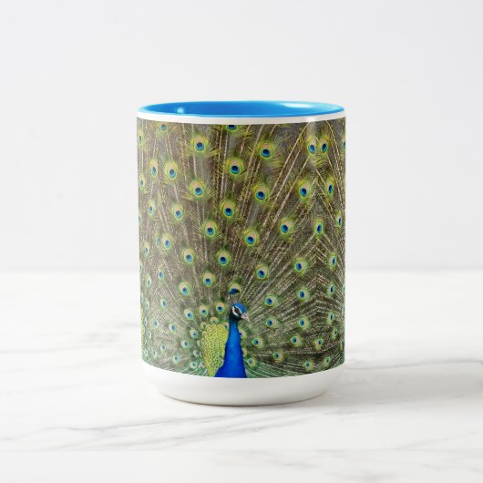 Mooie pekelvogel tweekleurige koffiemok (Center)